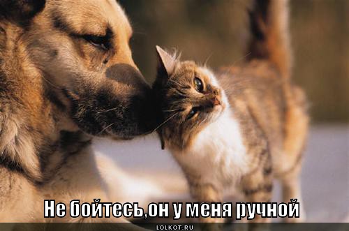 ручной