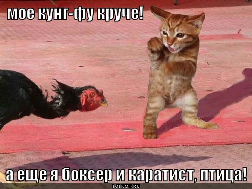 боксер и каратист