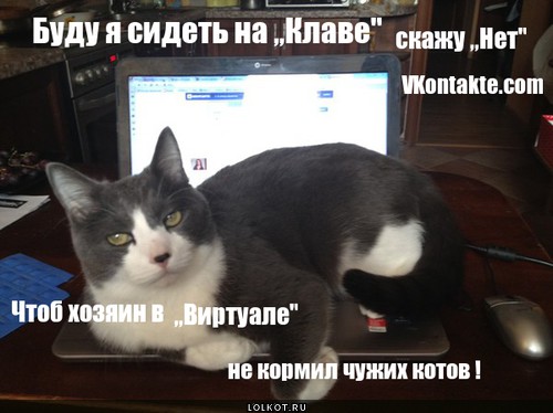 скажем дружно нет vkontakte