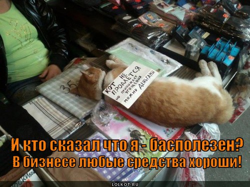 И кто сказал. 