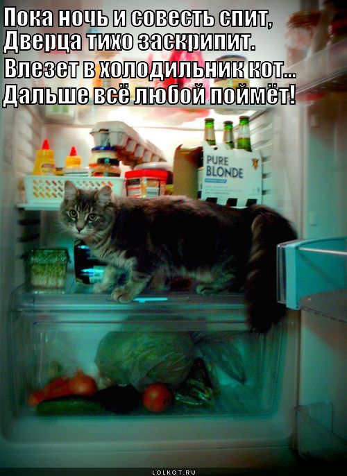 ночь, холодильник, жор