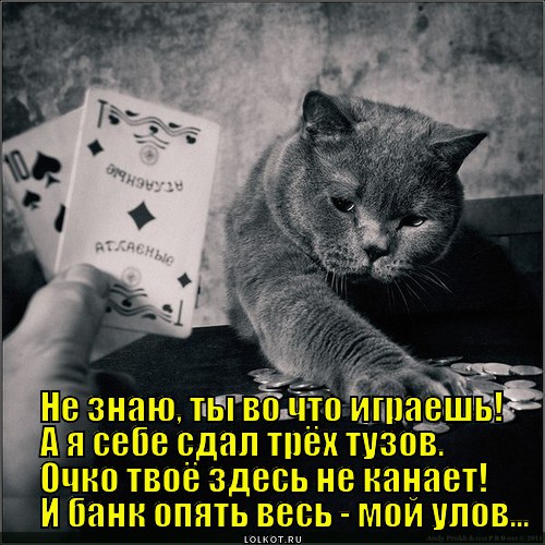 Карты, деньги, два ствола