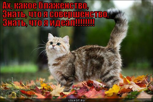 совершенство
