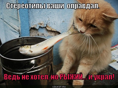 Наглая рыжая морда