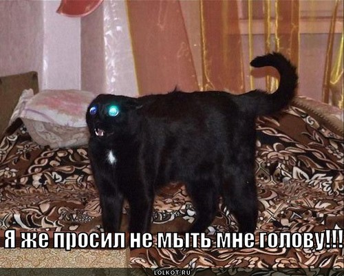 я же просил