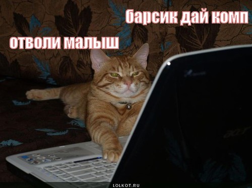 Барсик