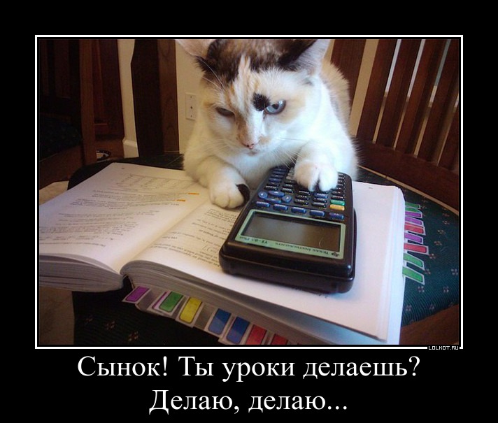 Делаю 