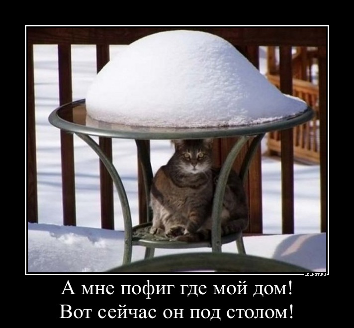 Дом 