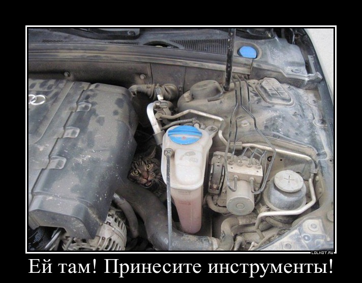 Эй