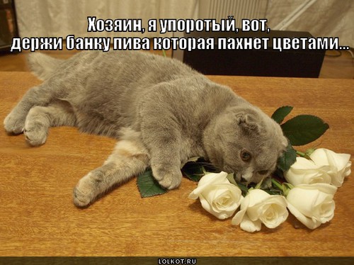 Хозяин