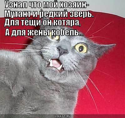 км