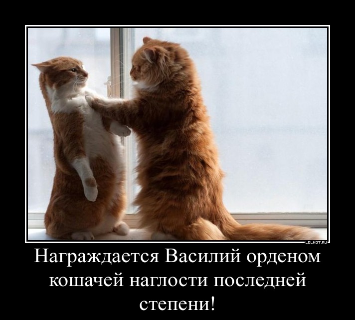 км