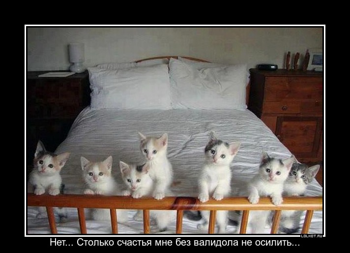 Км