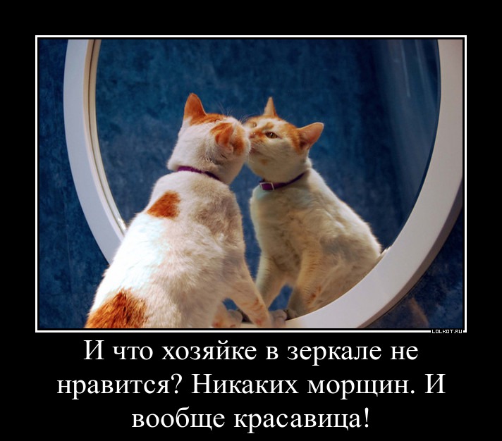 КМ