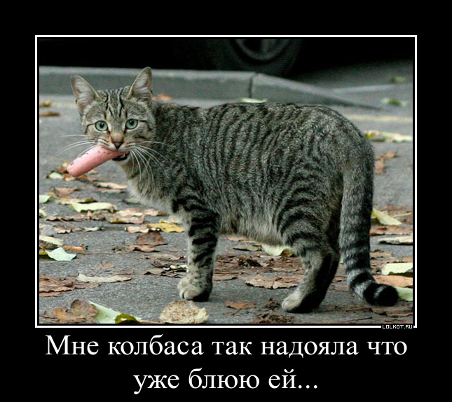 Колбаса 
