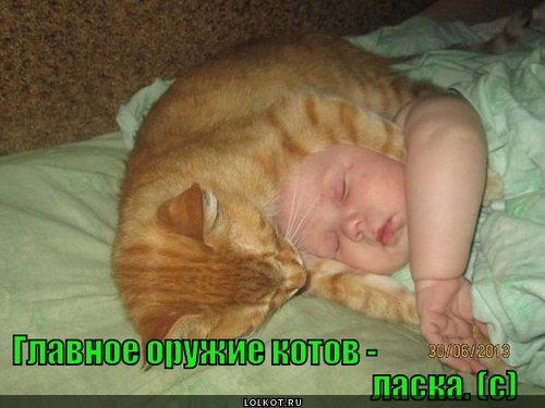 Ласка 