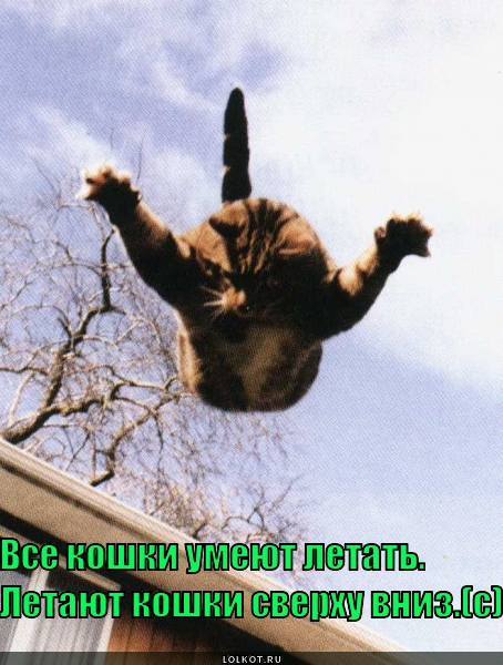 Летать
