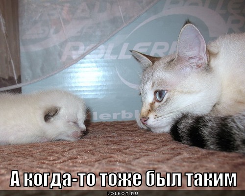 Малютка 