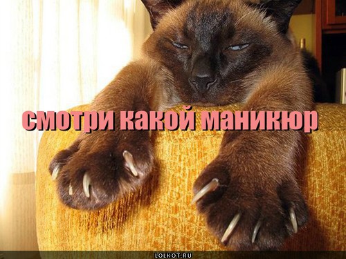 Маникюр