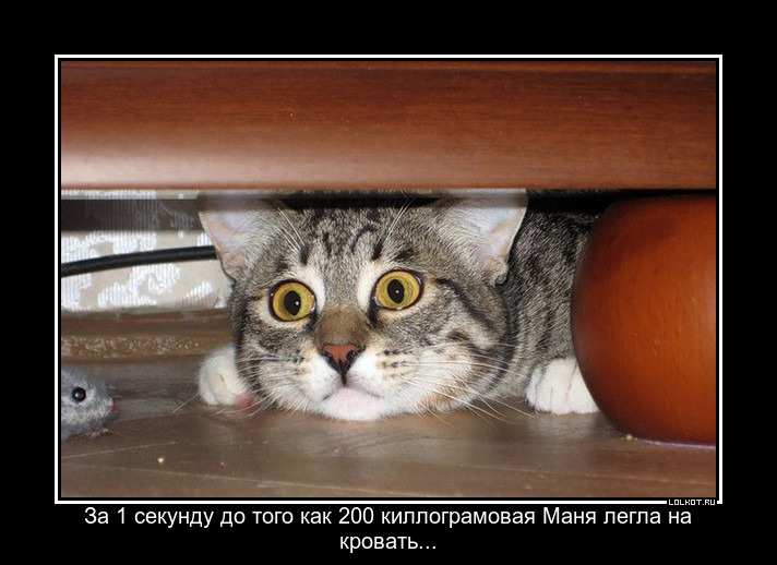 Маня 