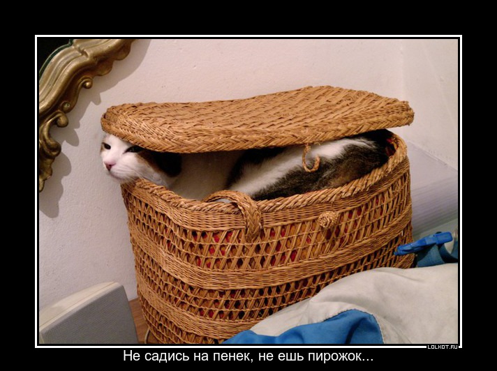 Не садись