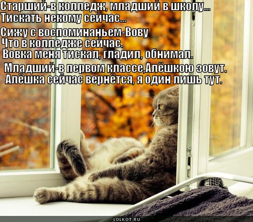 Некому гладить