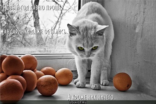 новый год