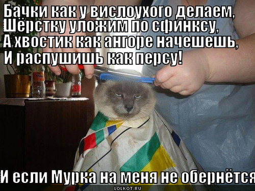 Парикмахерская