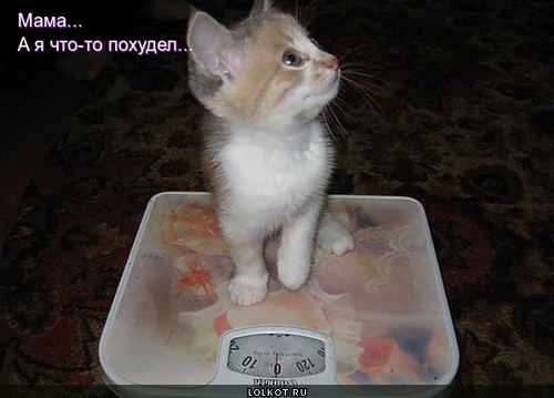 Похудел