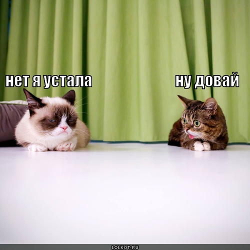 Поменяться местами