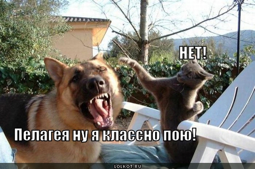 Пою