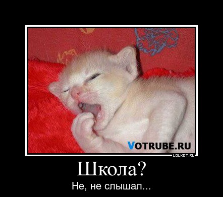 Школа