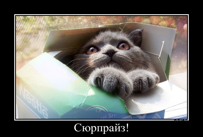 сюрпрайз!