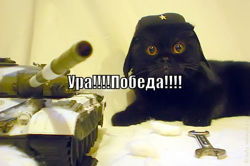 ура!!!!победа!!!!