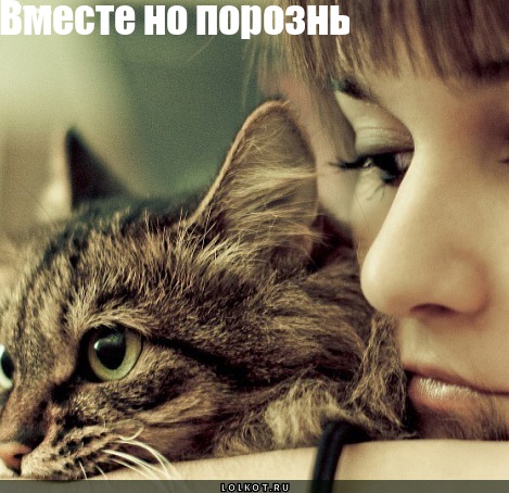 Вместе 