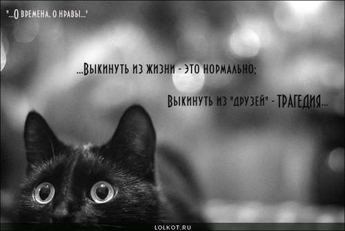 Времена 