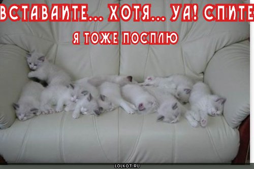 Вставайте 