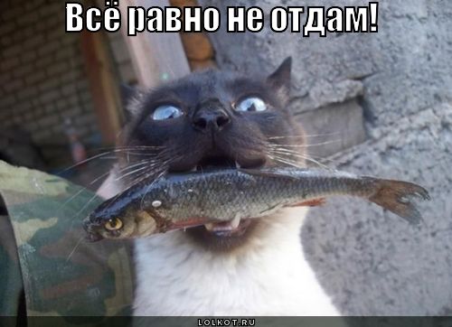 всё равно не отдам!