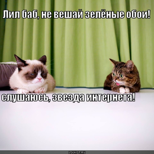 Зеленые обои 