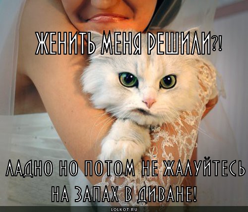 Женить