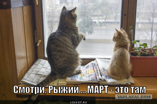 Знакомство по объявлениям.