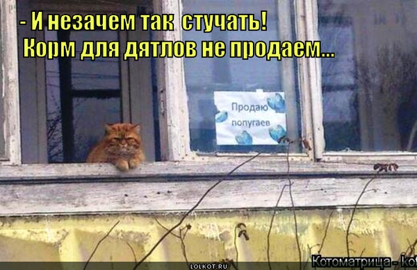Стуконавты 