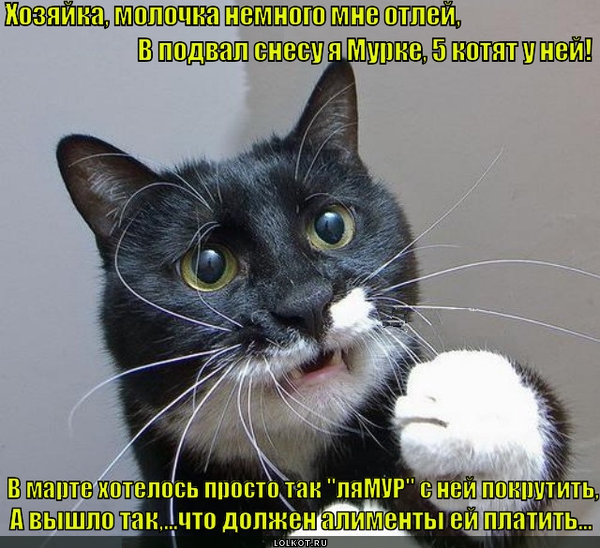 Хвостатый алиментщик 