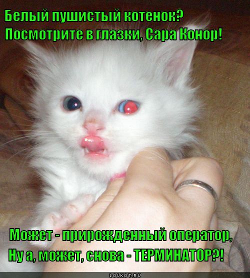 Терминатор 2: Няшный день