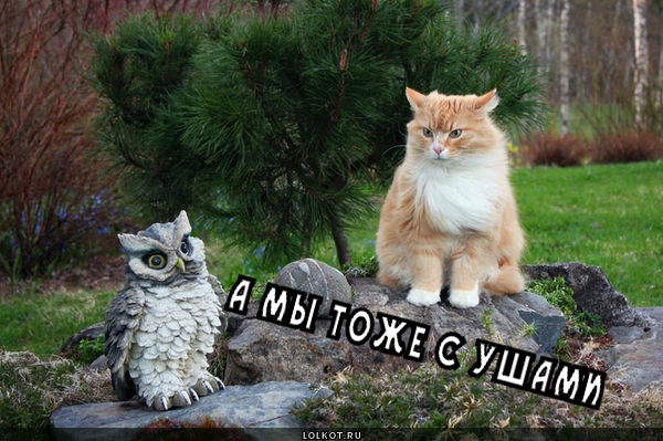 Аналогия 