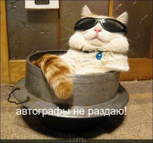 Автограф 