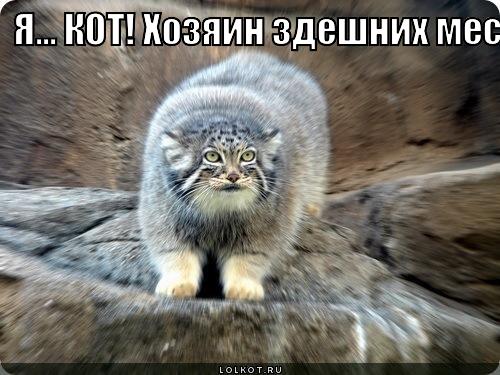 Хозяин 