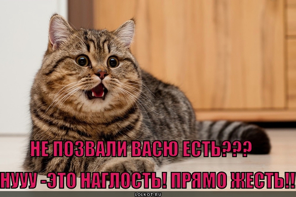 Наглось 