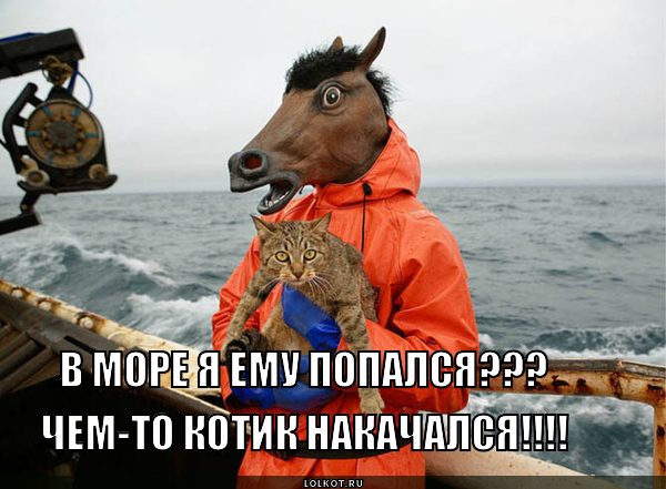НарКОТИК
