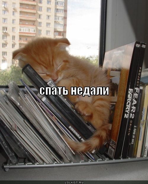 Не дали спать 